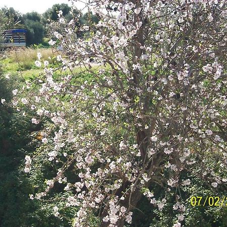 Вилла Casa Vacanze Mandorlo In Fiore Авола Экстерьер фото