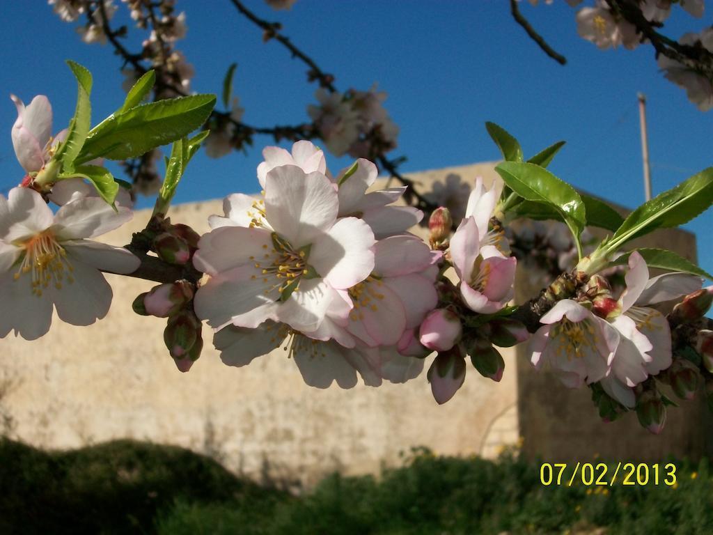 Вилла Casa Vacanze Mandorlo In Fiore Авола Экстерьер фото