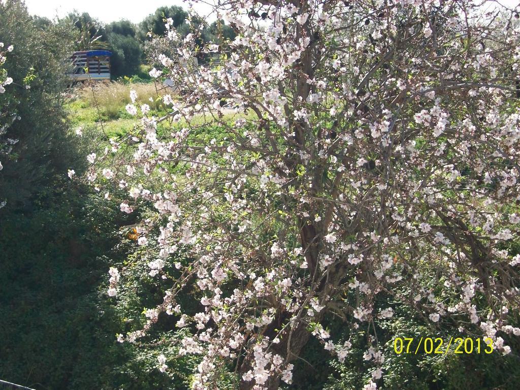 Вилла Casa Vacanze Mandorlo In Fiore Авола Экстерьер фото